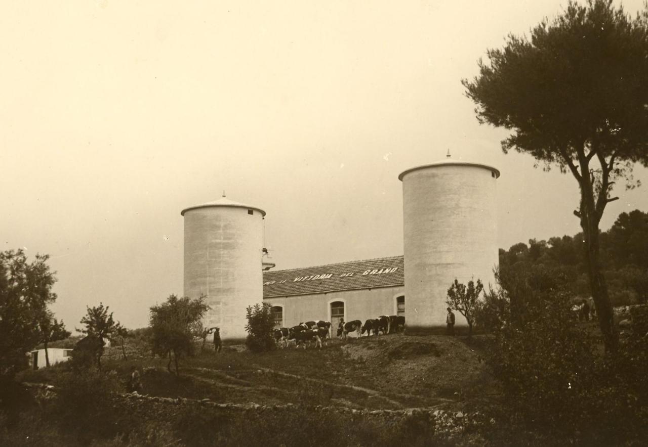 Rocca Sul Mare Hotel Vieste Kültér fotó